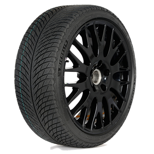 Шина Michelin Pilot Alpin 5 315/30 R21 105V зимняя  
