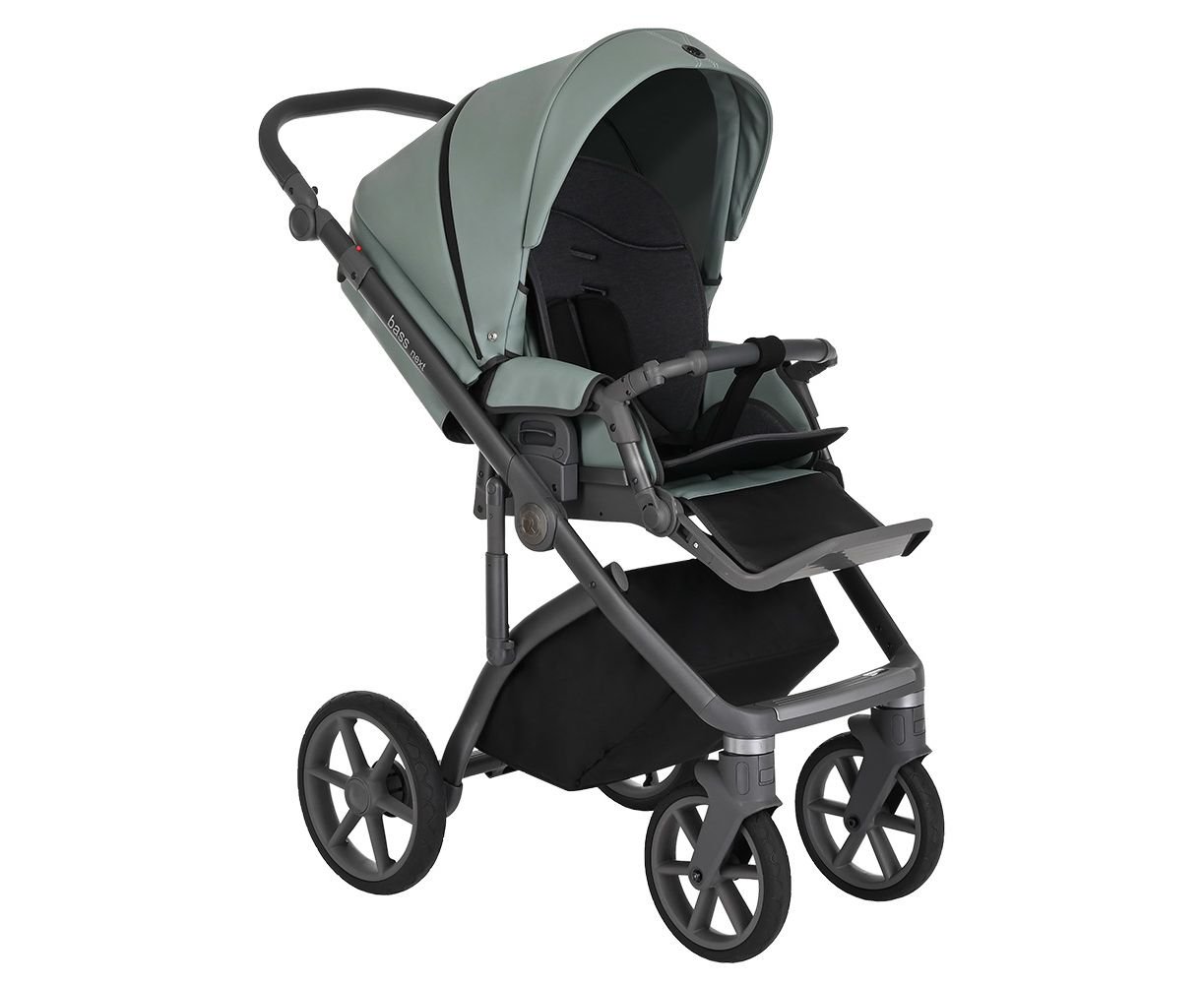 Коляска 2в1 Roan Bass Next Кожа Misti Mint/Grey купить,NaN