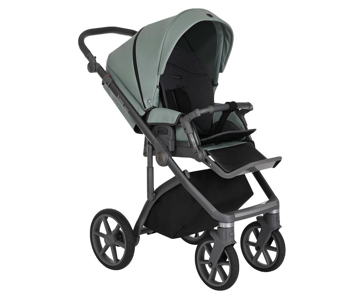 Коляска 2в1 Roan Bass Next Кожа Misti Mint/Grey купить,NaN