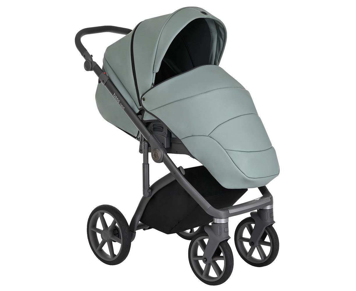 Коляска 2в1 Roan Bass Next Кожа Misti Mint/Grey купить,NaN
