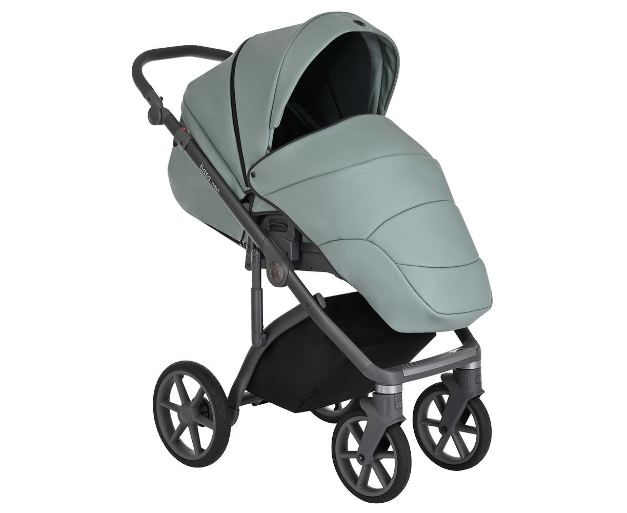 Коляска 2в1 Roan Bass Next Кожа Misti Mint/Grey купить,NaN