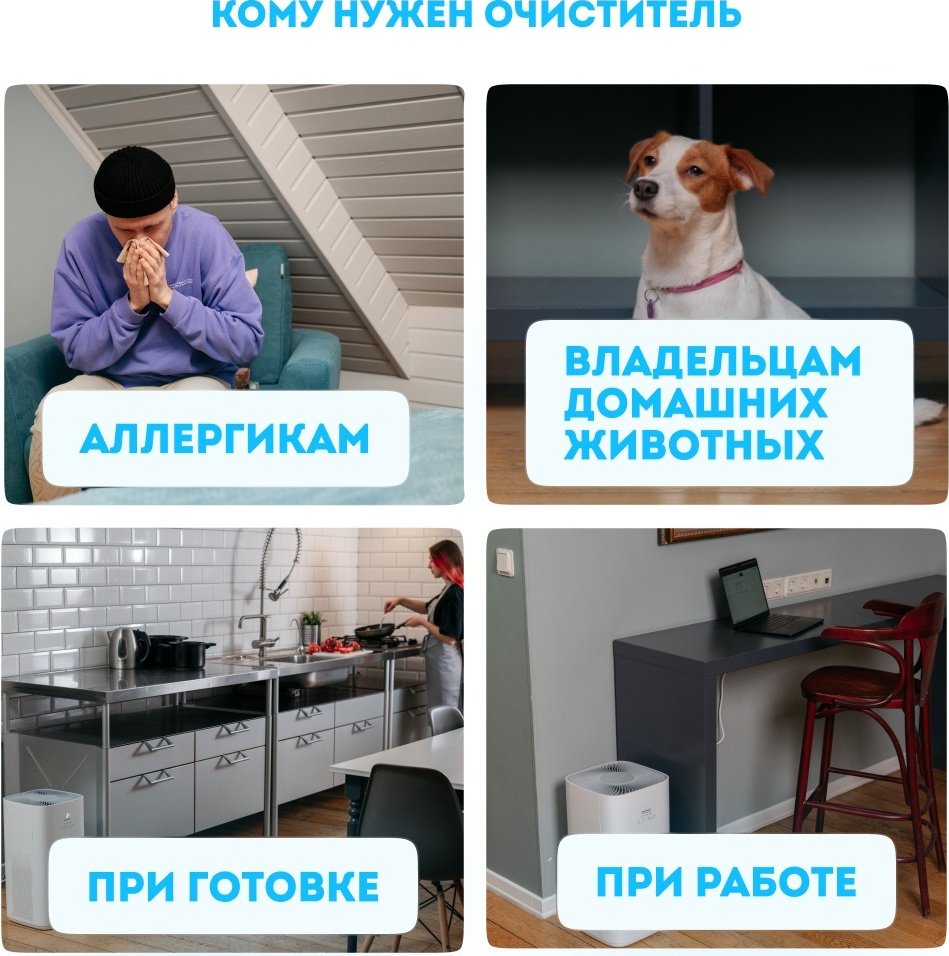 Очиститель воздуха Rawmid RMP-01 черный