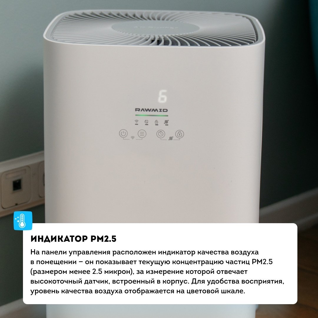 Очиститель воздуха Rawmid RMP-01 черный купить,NaN