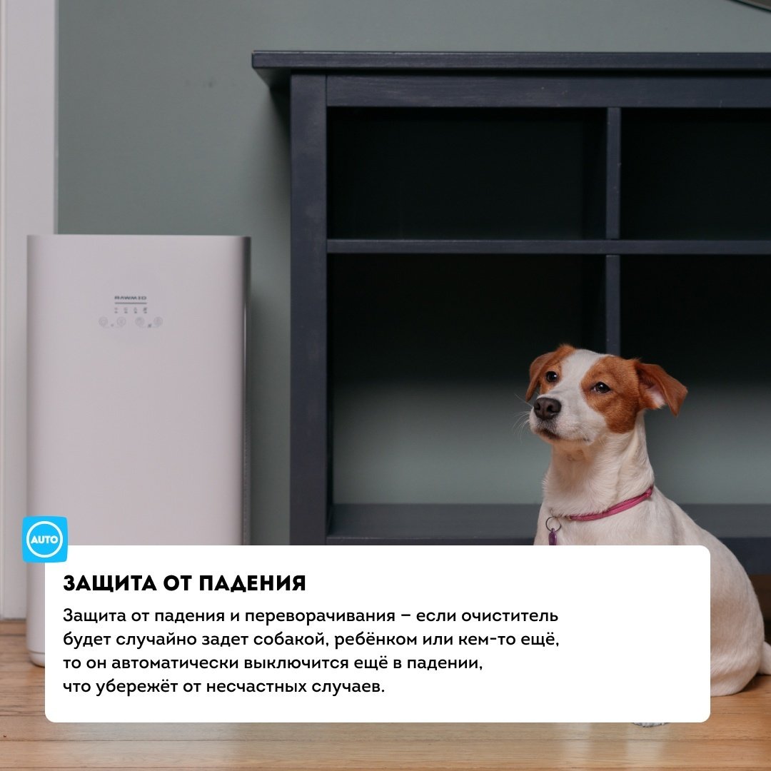 Очиститель воздуха Rawmid RMP-01 черный купить,NaN