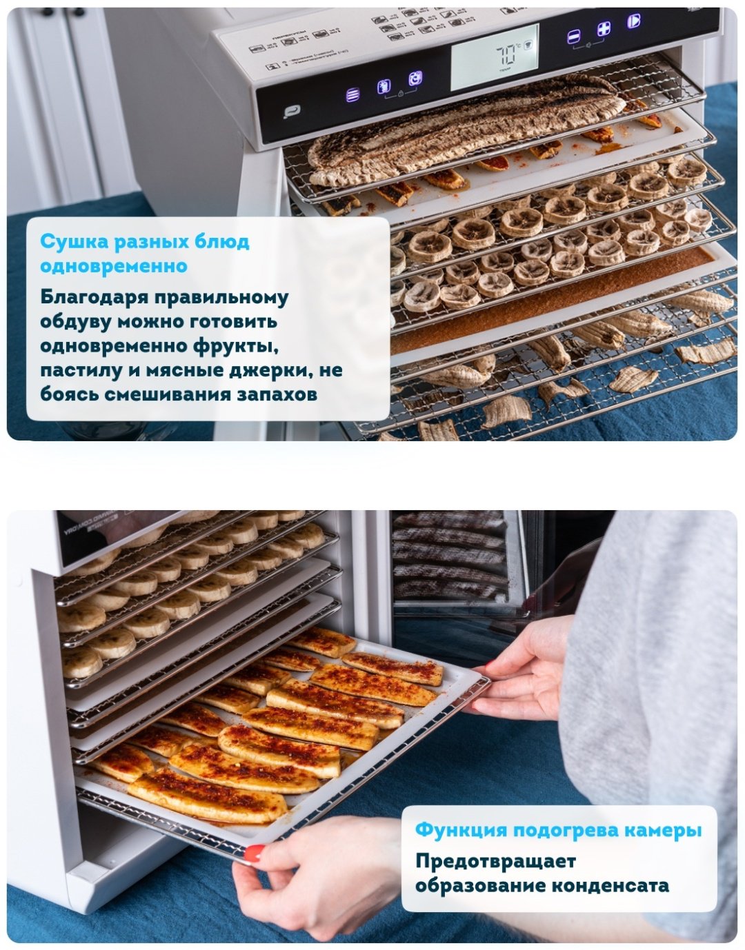 Сушилка для овощей и фруктов электрическая RAWMID Modern RMD-0710 купить,NaN