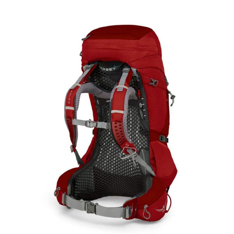 Рюкзак Osprey Atmos AG 50 LG красный купить,NaN