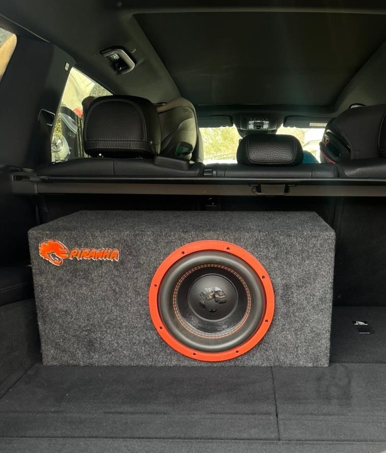Сабвуфер DL Audio Piranha 10 v.2 с усилителем Piranha 1.500  купить,105000