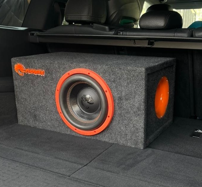 Сабвуфер DL Audio Piranha 10 v.2 с усилителем Piranha 1.500  купить,105000