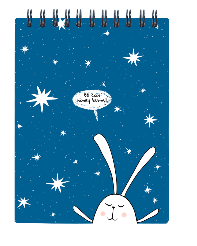 Альбом для рисования Be Smart Bunny синий 190 г/м2 156х207 мм 45 л N2257 купить,NaN