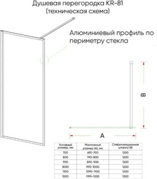 Перегородка душевая Veconi KR81R-70-06-C8 70х200см серый