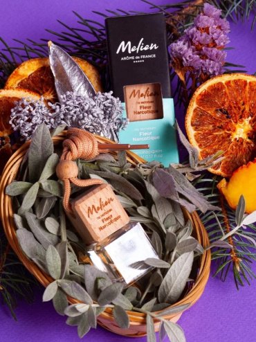 Melien ароматизатор жидкий MNLN Fleur Narcotique 6 мл купить,0