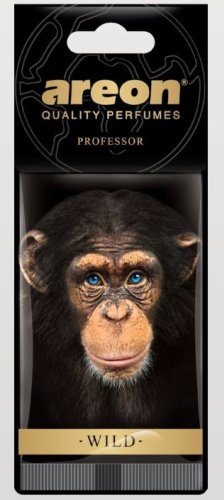 AREON ароматизатор картонный AW04 Professor