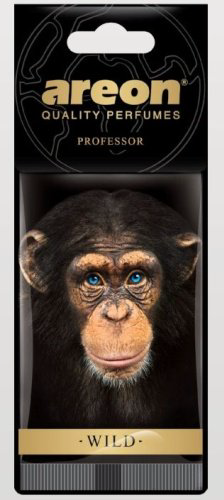 AREON ароматизатор картонный AW04 Professor