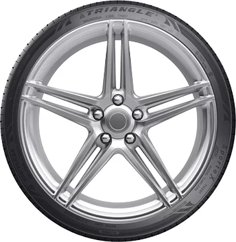 Шина Triangle TH201 265/30 R20 94Y летняя купить,66690