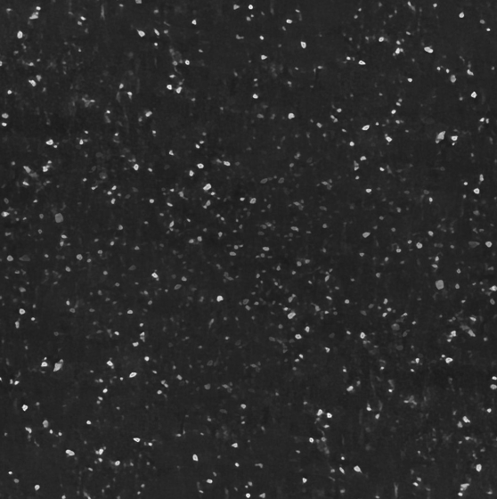 Мойка кухонная Cetus С-490-004 49х42х19см черный купить,41060