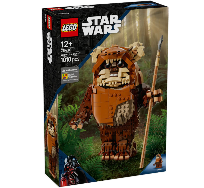 Конструктор Lego Эвок Star Wars 75430 купить,NaN