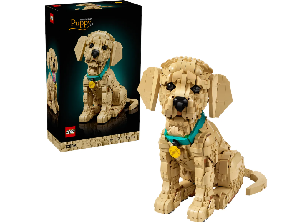 Конструктор Lego Щенок золотого ретривера Icons 11384