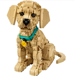 Конструктор Lego Щенок золотого ретривера Icons 11384