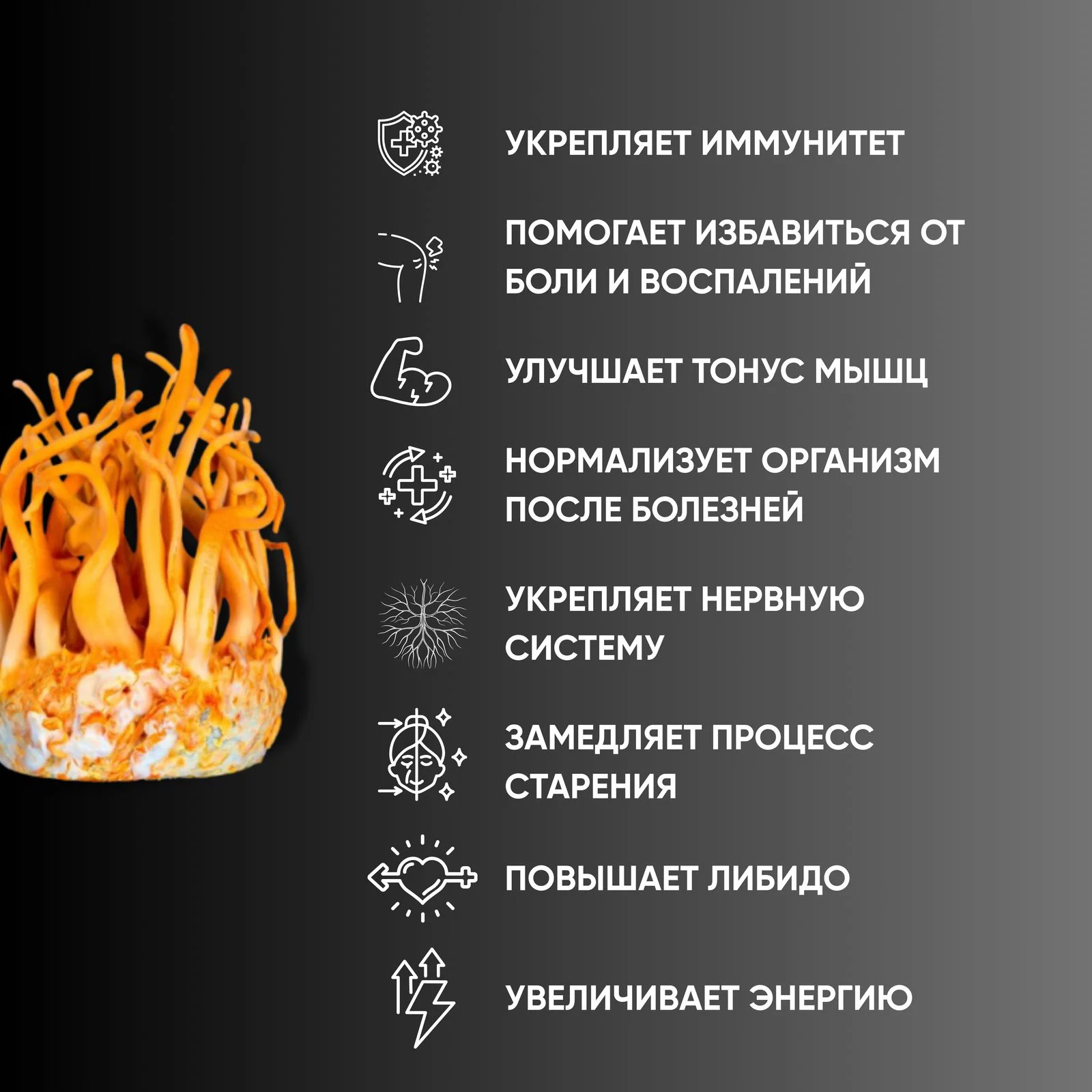 Кордицепс милитарис Hericium-Rex порошок 100гр купить,0
