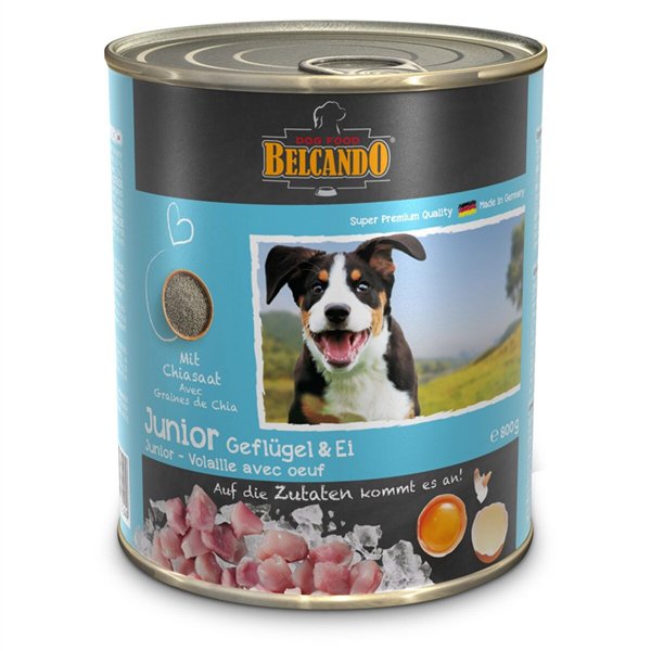 Консервы Belcando Junior Poultry witt egg  птица и яйцо 800гр купить,NaN