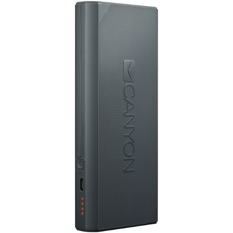 Power Bank Canyon CNE-CPBF130DG 13000mAh серый