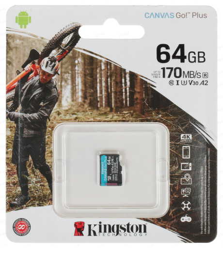 Карта памяти Kingston Canvas Go! Plus SDCG3/64GBSP