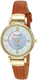 Часы Anne Klein AK3660MPHY