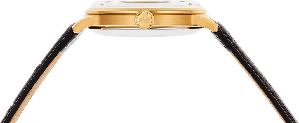 Часы Orient RA-AC0002S10B купить,NaN