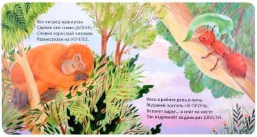 Книга Без автора: Книжки - картонки. Загадки - рифмы. Кто как спит купить,NaN