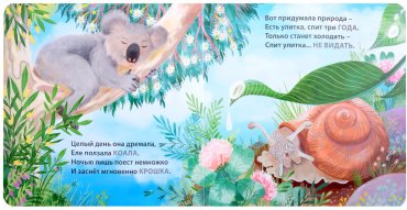 Книга Без автора: Книжки - картонки. Загадки - рифмы. Кто как спит купить,NaN