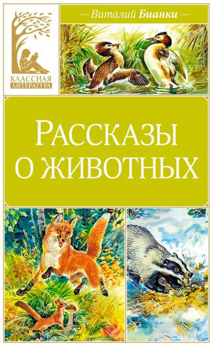 Книга Бианки В. В.: Рассказы о животных купить,NaN