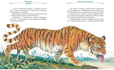 Книга Энде М.: Сказки купить,NaN