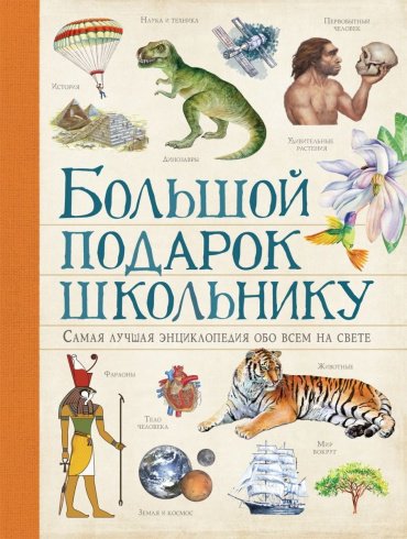 Книга Ачети Л., Скудери М.: Большой подарок школьнику купить,NaN
