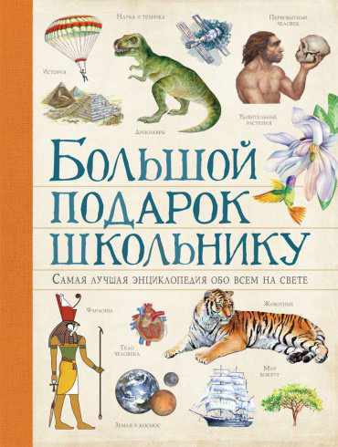 Книга Ачети Л., Скудери М.: Большой подарок школьнику купить,NaN