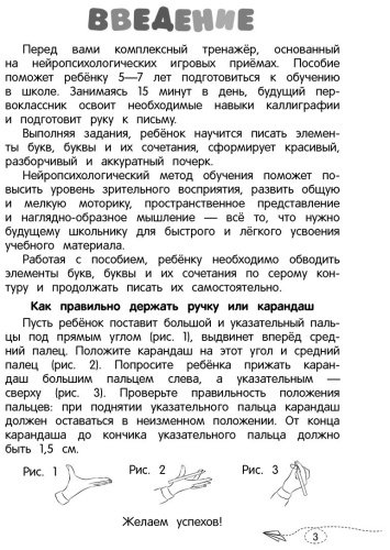 Книга Блохина К. В.: Развиваем каллиграфические навыки. Готовимся к школе купить,NaN