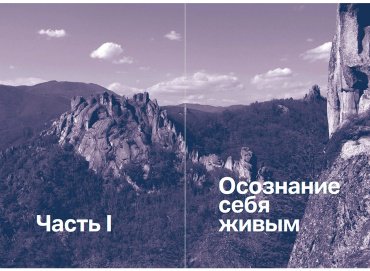 Книга Латыпов И.: Один на один с жизнью: Книга, которая поможет найти смысл купить,NaN