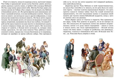 Книга Твен М.: Приключения Тома Сойера (илл. А. Иткина) купить,NaN