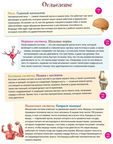 Книга Эксмо: Человек! 365 вещей, которые нужно знать про наше тело купить,NaN