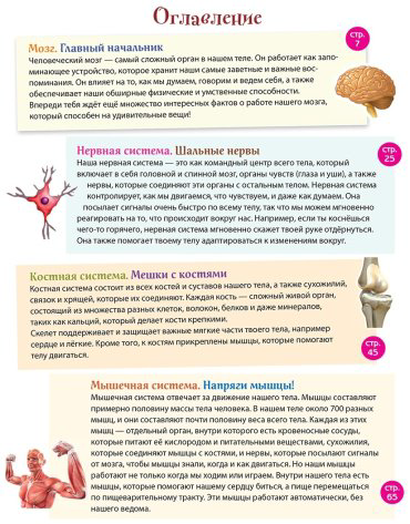Книга Эксмо: Человек! 365 вещей, которые нужно знать про наше тело купить,NaN