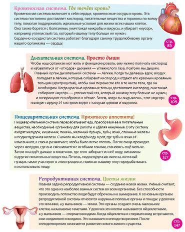 Книга Эксмо: Человек! 365 вещей, которые нужно знать про наше тело купить,NaN