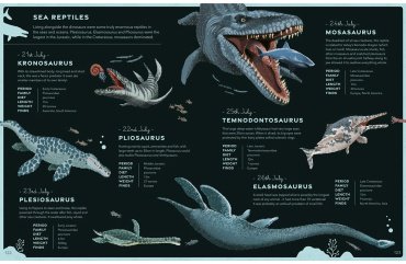 Книга A Dinosaur a Day купить,NaN