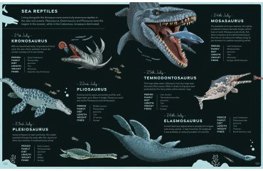 Книга A Dinosaur a Day купить,NaN