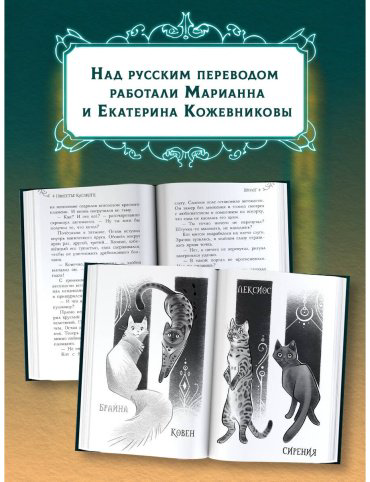Книга Пюиссегюр А.: Поместье Каслкотц. Иномирье просыпается купить,NaN