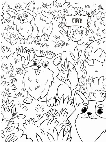 Книга Милые животные купить,NaN