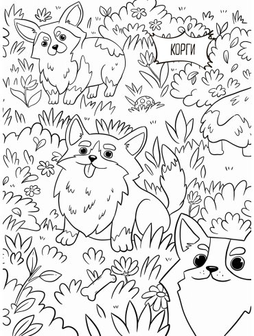 Книга Милые животные купить,NaN