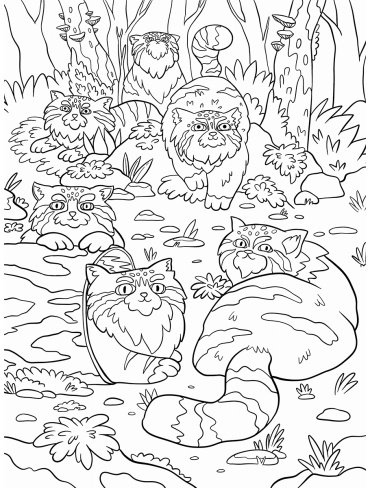 Книга Милые животные купить,NaN
