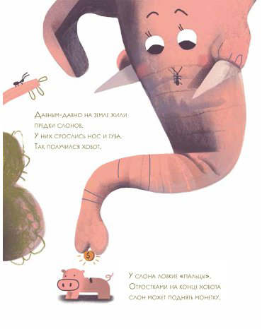 Книга Аромштам М.: Слоны идут! купить,NaN