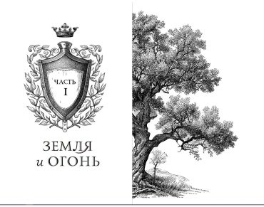 Книга Брандис К.: Дареш. Сердце белого леса (#1) купить,NaN
