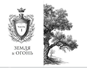 Книга Брандис К.: Дареш. Сердце белого леса (#1) купить,NaN