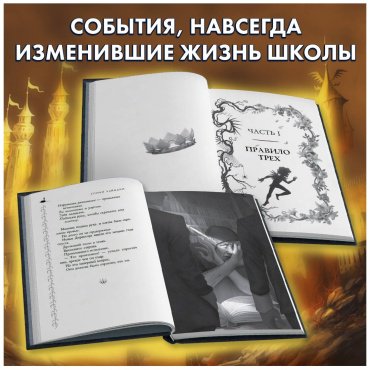 Книга Чайнани С.: Школа Добра и Зла. Падение купить,NaN